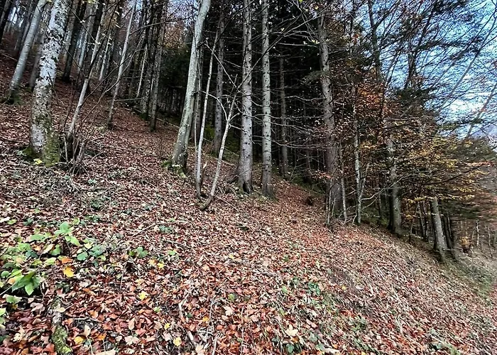 Family Friendly Mountain House * Eisenerz